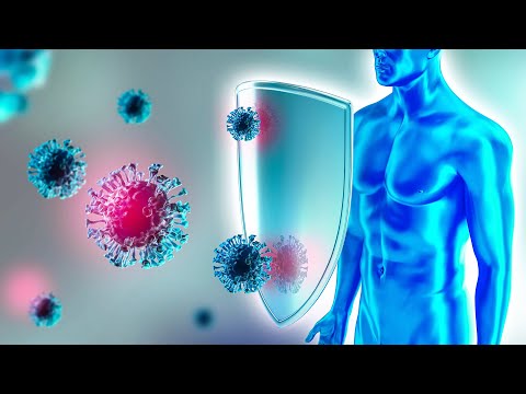 🔬 How the Immune System Destroys Bacteria 🦠 | Your Body’s Secret Defense Explained! 💥🧬