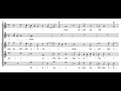 Gombert: Beati omnes - Beauty Farm