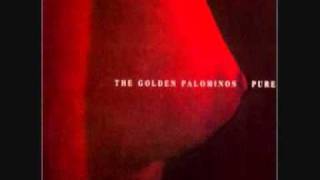 The Golden Palominos - Gun