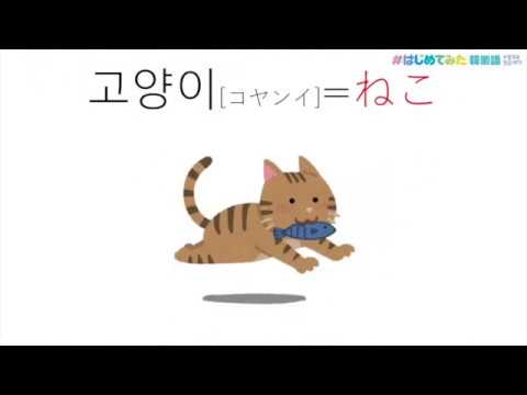 心理学科 はじめてみた韓国語ㄱ