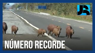 Miniatura do vídeo