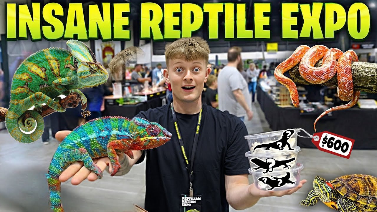 REPTILE (2026) – First Trailer Review