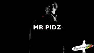 Mr Pidz pour Reggaesudouest Vol.2