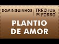 Plantio de amor - Dominguinhos