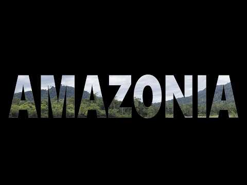3 Weeks in the Peruvian Amazon | BEST CLIPS (Manu/Wayqecha)