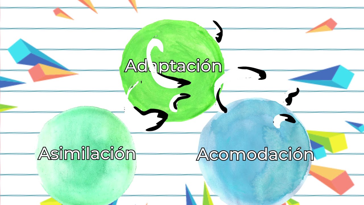 ¿Cómo aprendemos? Contribuciones de Jean Piaget