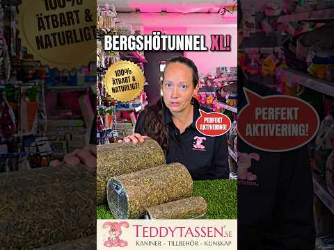 Bergshö Chinchillatunnel XL - Video