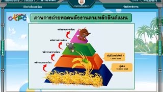 สื่อการเรียนการสอน พีระมิดพลังงานม.3วิทยาศาสตร์