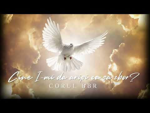 Corul BBR - Ca o pasăre în zbor