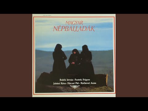 Fehér László lovat lopott…