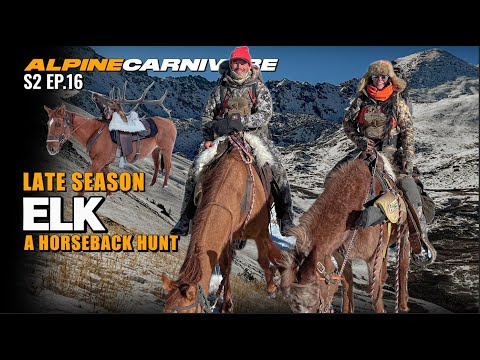 HIGH COUNTRY ELK HUNT | LATE SEASON HORSEBACK BULLS