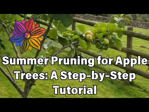 Summer Pruning for Apple Trees: A Step-by-Step Tutorial