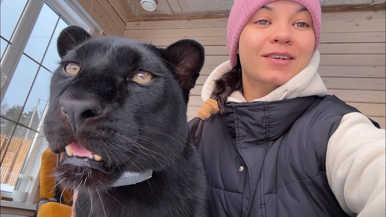 Venya was taken for surgery (ENG SUB)