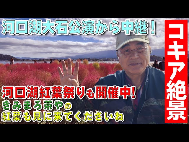 途易集団日本株式会社