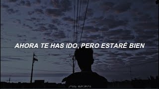 Fall Out Boy - Miss Missing You (subtitulada al español)