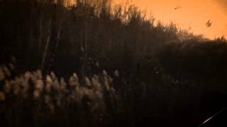 Hird-Fading Blues (fan video)