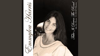 Boulder To Birmingham (Live)