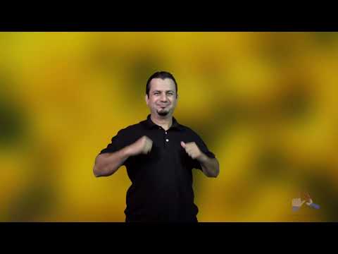 Números 16, 41-50 en Lengua de Señas Paraguaya.