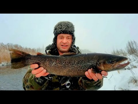 FISHING COMPETITION... I Caught a Fish and Won