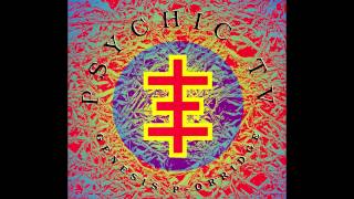 Psychic TV & The Hafler Trio ~ Slave Priest [HQ Audio]