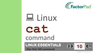 Linux cat command summary with examples