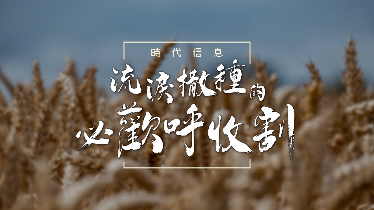 流淚撒種的，必歡呼收割！