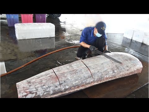 Monster Fish-500kg giant swordfish Cutting Skills