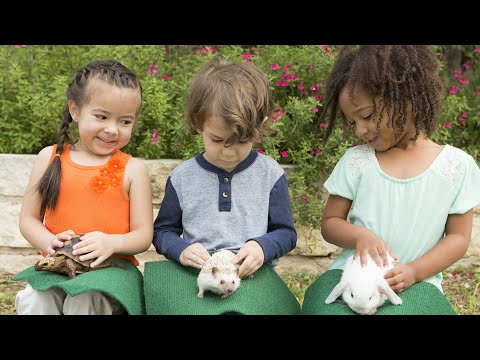 Tiny Tails to You - Austin's Traveling Petting Zoo