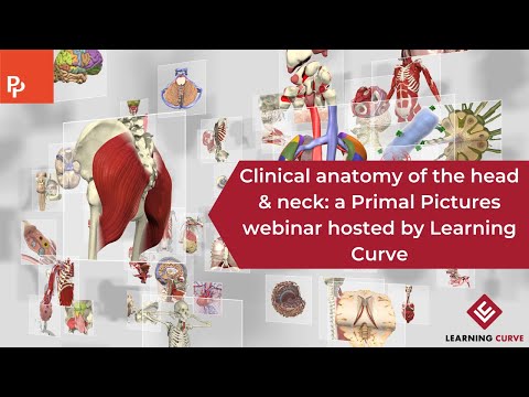 Clinical anatomy of the head & neck: From paper to practice