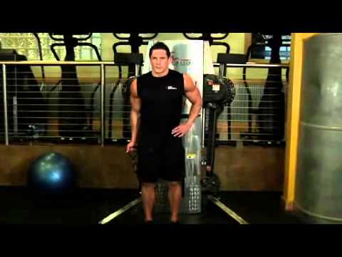 Standing One Arm Cable Curl Exercise Guide and Video