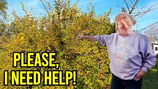 NOBODY Would Help This Elderly Lady, This Will Leave You in TEARS!