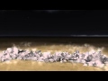 Next generation of NVIDIA PhysX demo with a Real Time Dynamic Fracture