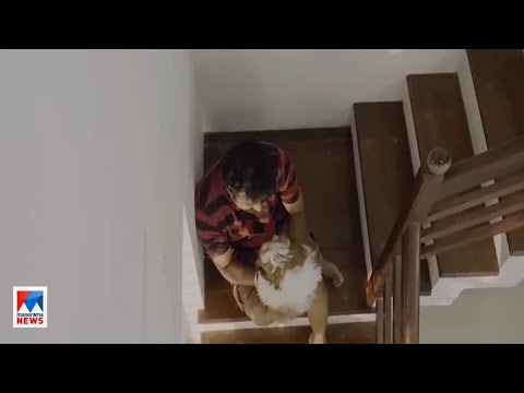 നായ്ക്കുട്ടിയുടെ കഥപറഞ്ഞ് ‘ക്യൂബോ’; മലയാളം ഹ്രസ്വചിത്രത്തിന് രാജ്യാന്തര അംഗീകാരം| Short film