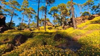 Your love is better than life!