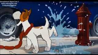 ShortStop Hound Dude