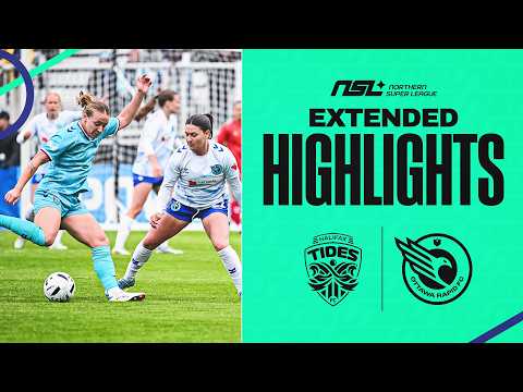bg-highlight