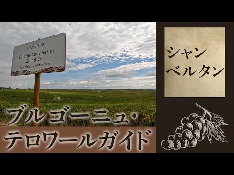 シャトー・ド・ボンヌヴィル (シャンブラック)について詳しく解説