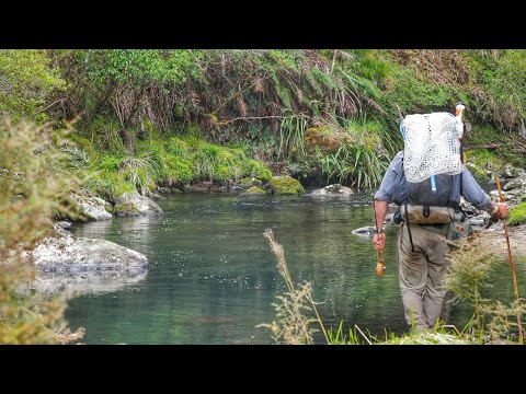 FISHING a BEAUTIFUL River for BIG Trout [CAMP OUT]