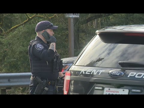 2 arrested after carjacking spree, police pursuit in south King County