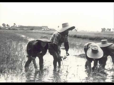 download lagu mp3 mp4 Se Otto Ore Vi Sembran Poche, download lagu Se Otto Ore Vi Sembran Poche gratis, unduh video klip Se Otto Ore Vi Sembran Poche