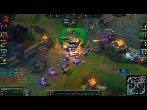 Why you should meowkai jungle?