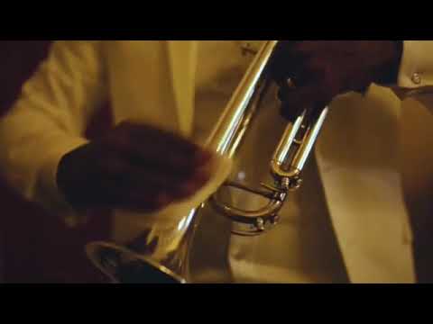 Franklyn Brooks (trumpet) what a woderfull world (cover)