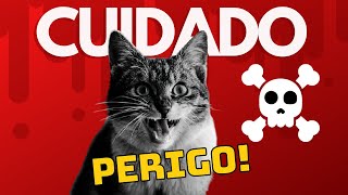 6 Alimentos PROIBIDOS para GATOS