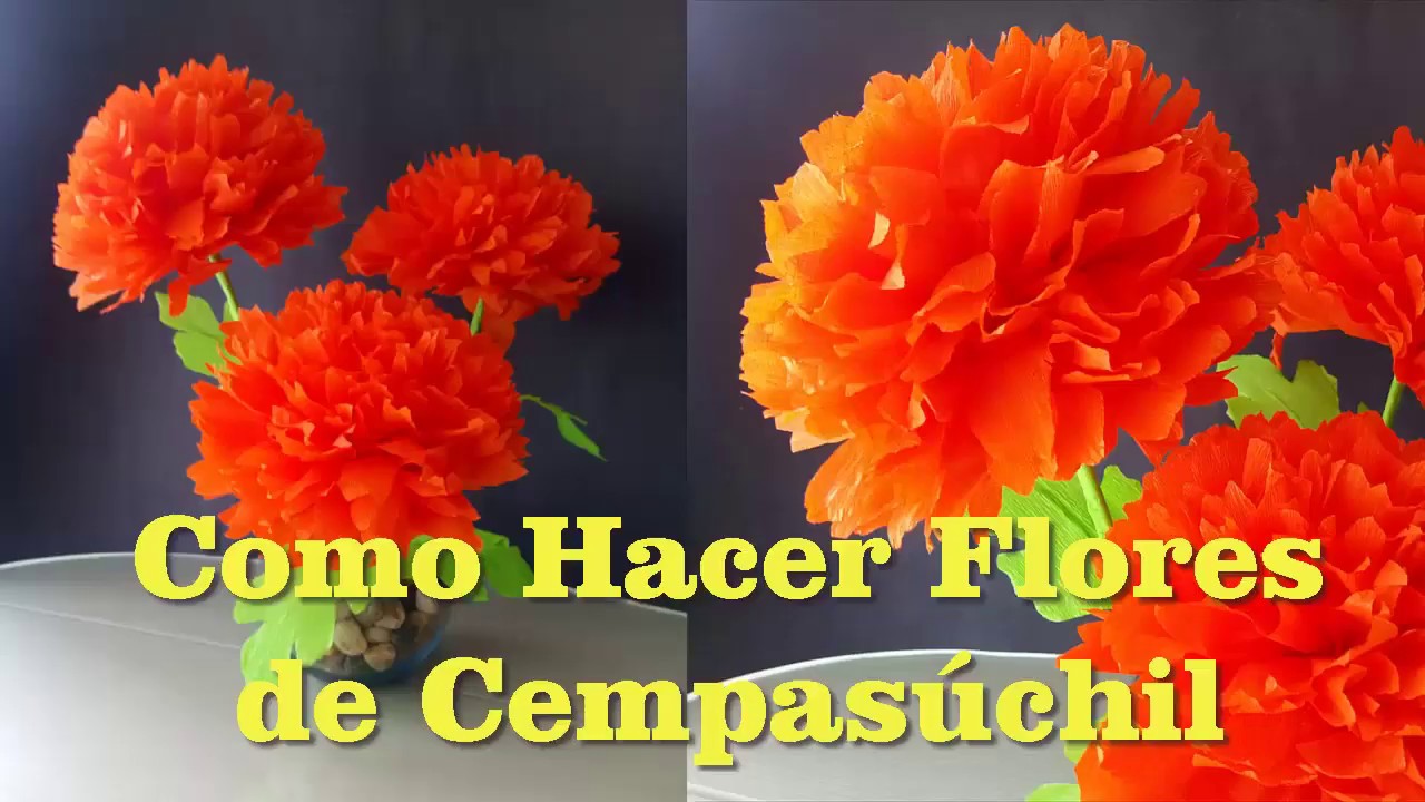 Watch Como Hacer Flores de Cempasúchil Con Papel Crepe Para Día de Muertos Now Como Hacer Flores de Cempasúchil Con Papel Crepe Para Día de Muertos