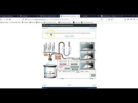 Physex Endocrine