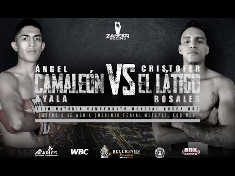 Ángel Ayala defeats Cristofer Rosales in WBC eliminator