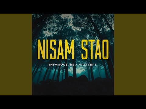 Nisam Stao