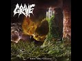 Grave Into The Grave Full Album 1990