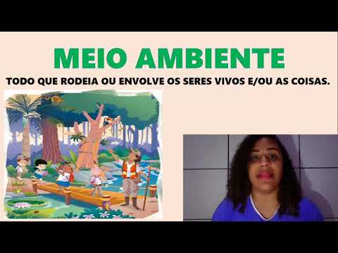 AULA 34 - O MEIO AMBIENTE