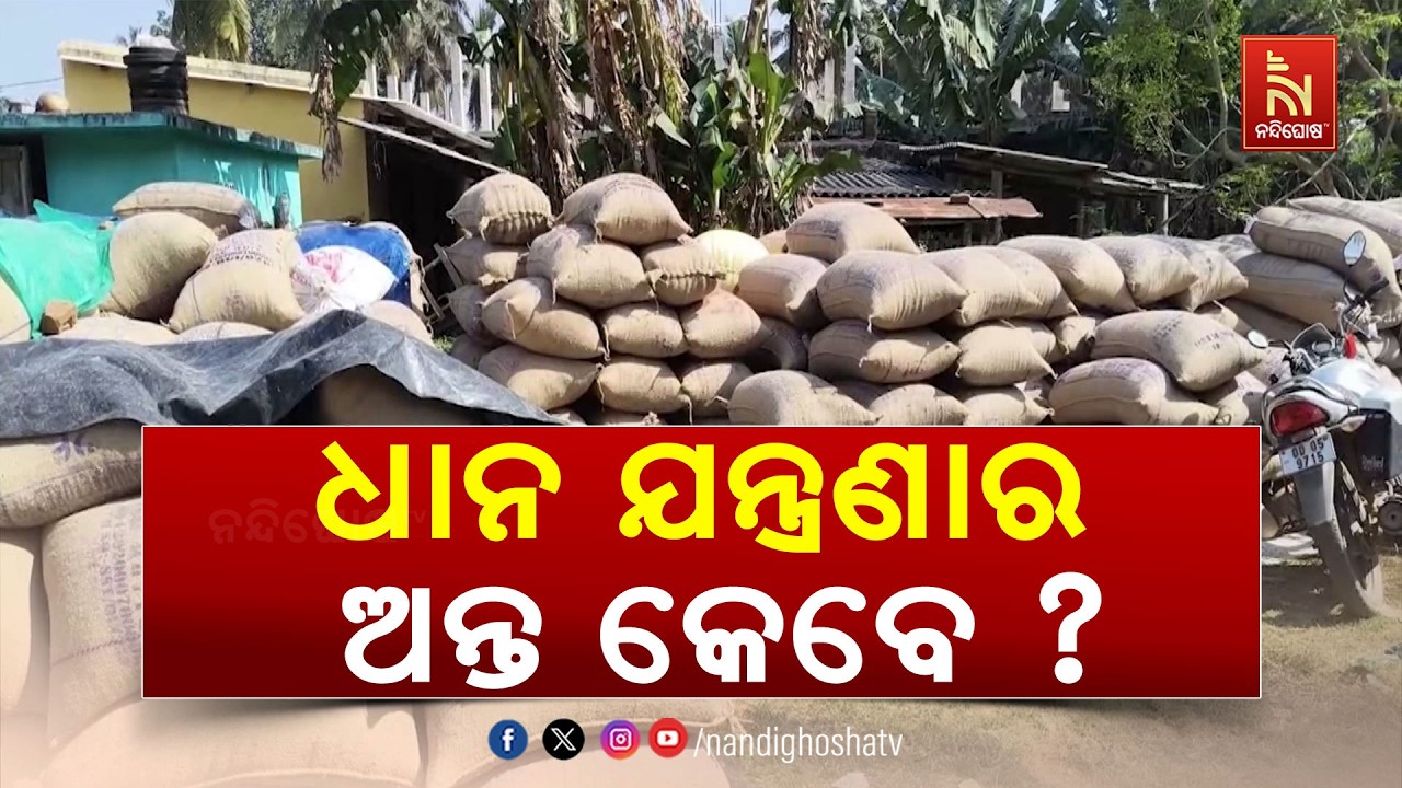 ବଲାଙ୍ଗୀର ଜିଲ୍ଲାରେ ଥମୁନି ଧାନ ବିକ୍ରି ଯନ୍ତ୍ରଣା | NandighoshaTV